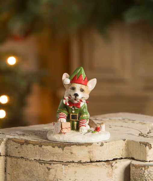 Wrapping it up Corgie