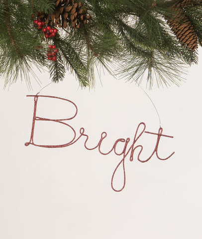 Christmas_Bethany Lowe_Pink_Bright_Word_Ornament