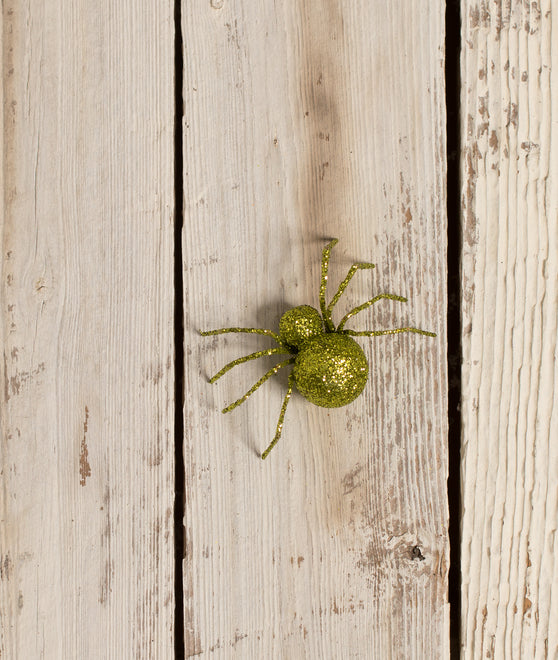 Spooky Spiders