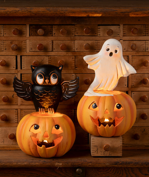 Owl on Jack O'Lantern