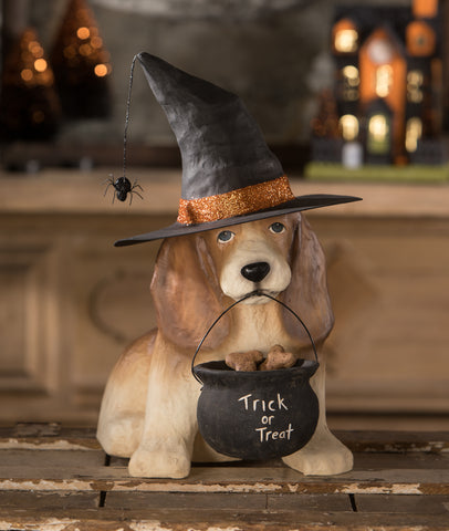 Trick or Treat Dog