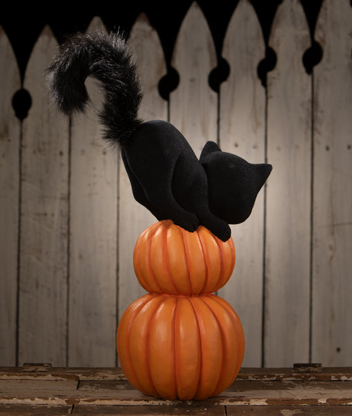 Pumpkin Stack Black Cat