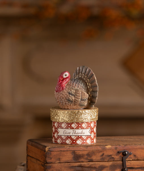 Little Turkey on Box