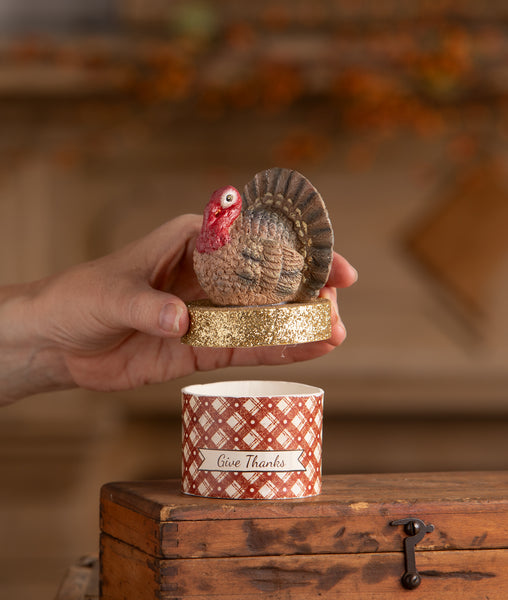 Little Turkey on Box