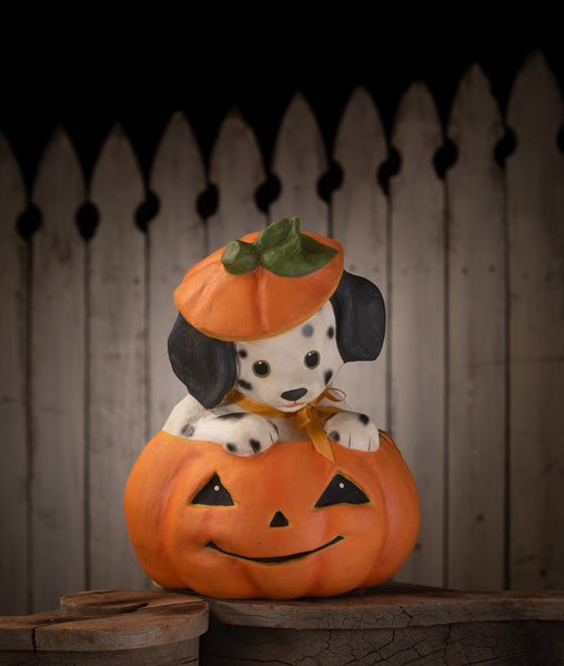 Poppy Puppy in Pumpkin