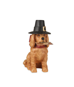 Thanksgiving_Dog_Pilgrim