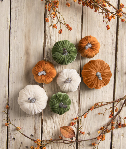 Pumpkins_Fall_Elegant_Velvet_Orange_Green_White_Thanksgiving_Bethany Lowe